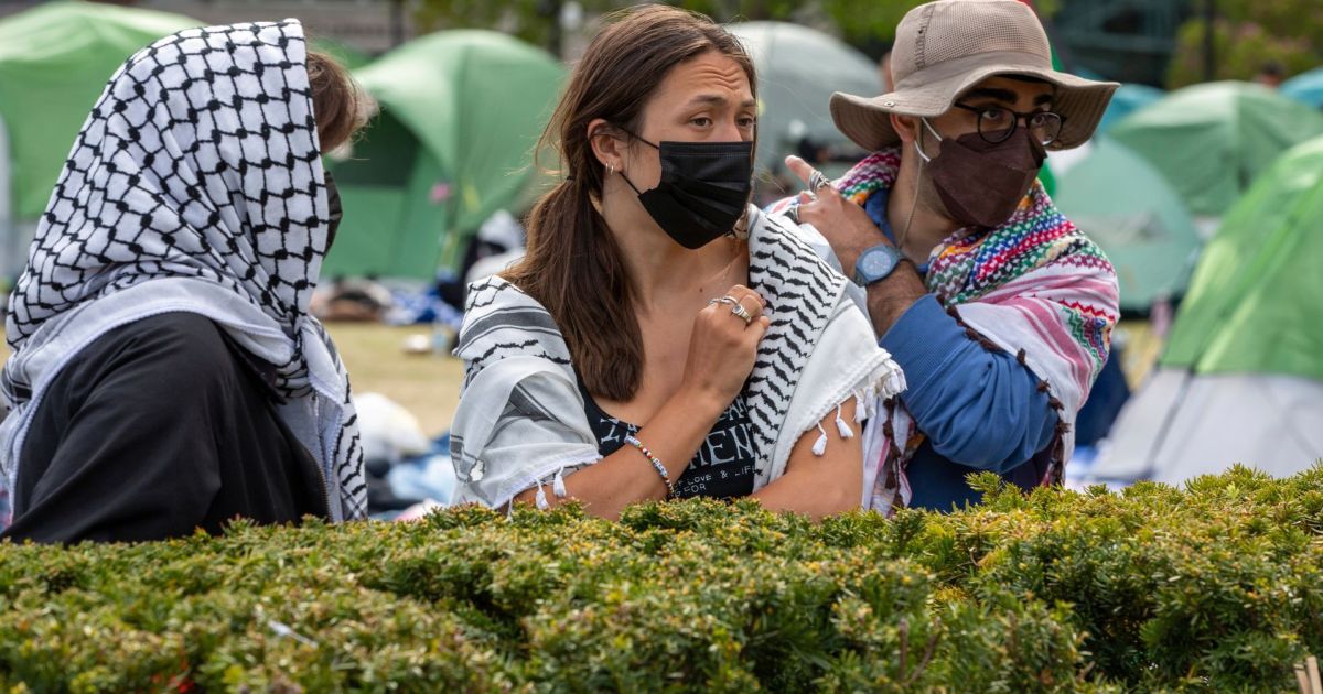 Pro-Palestina studentprotester spred sig under andra veckan av demonstrationer |  Israels krig mot Gaza News