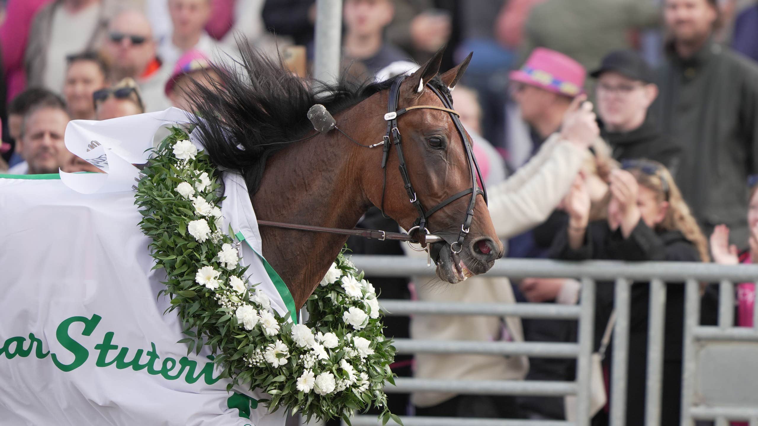 Comeback för Redéns
talang – har toppchans