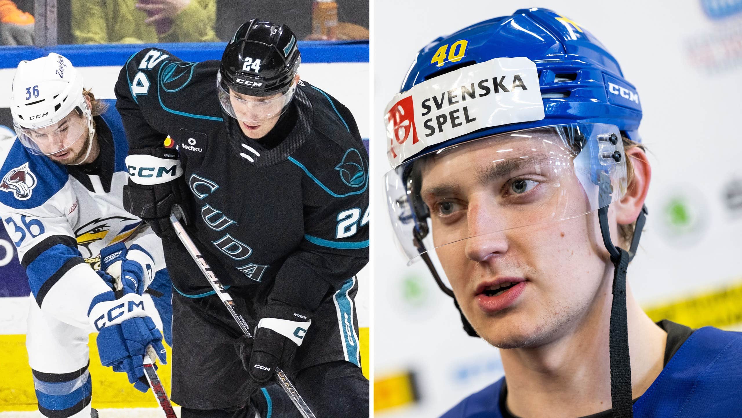 Jacob Peterson klar för Rögle | SHL