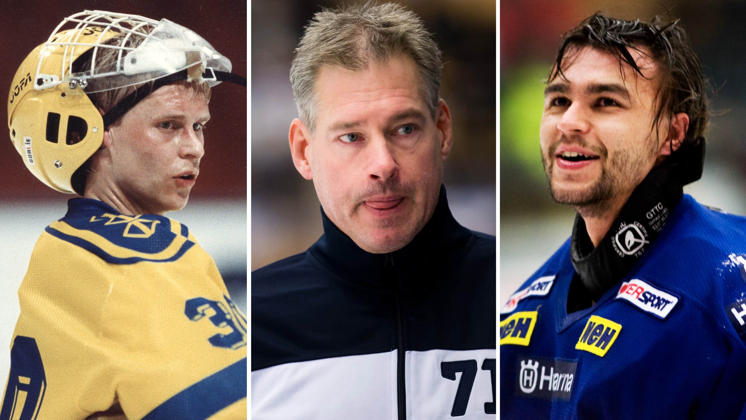 HV71 har förlorat tre målvaktsprofiler sedan 2011 | Hockey