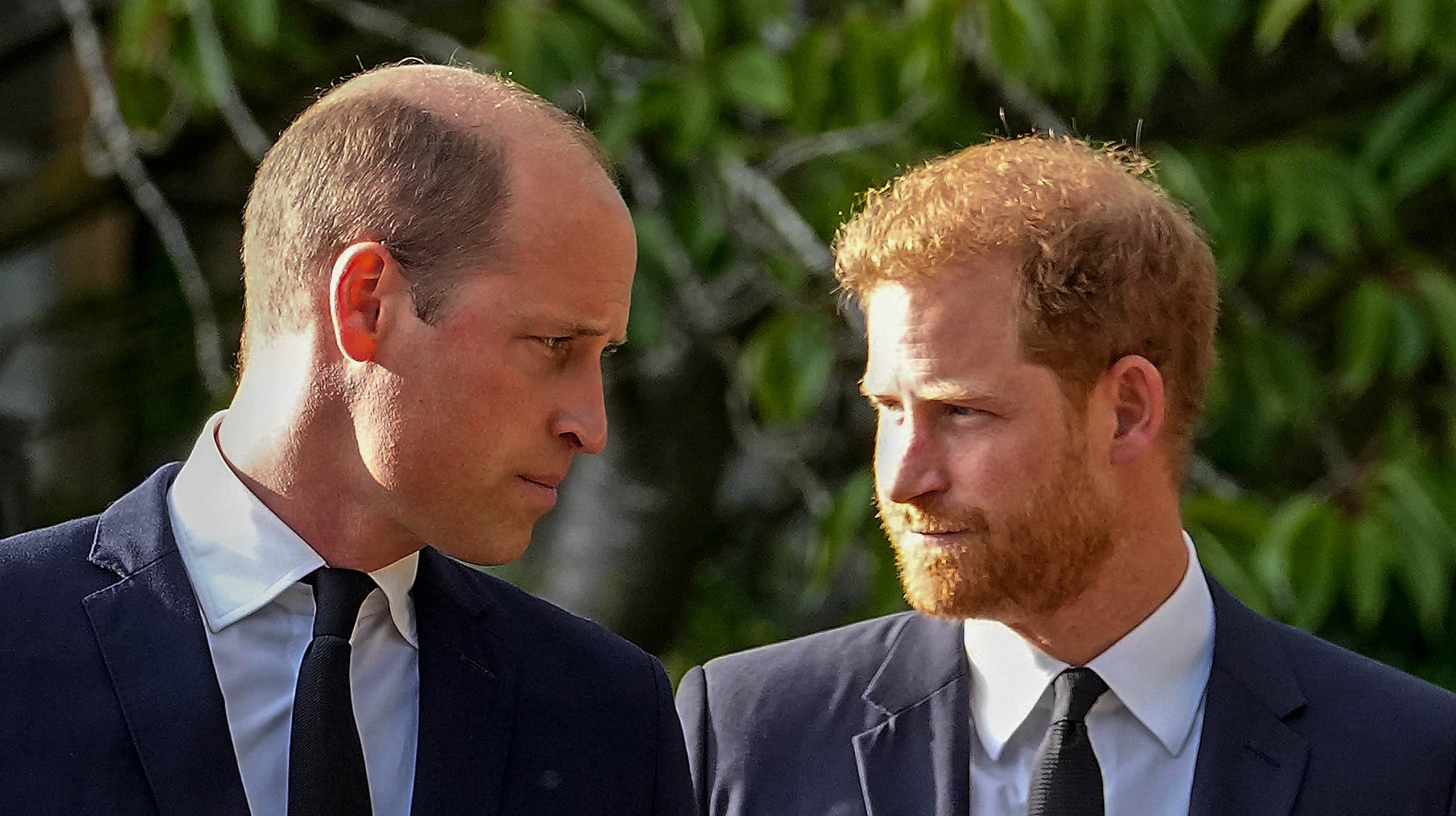 Prins Harry och William på samma begravning | Kungligt