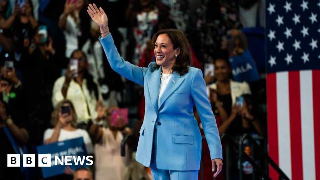 Kamala Harris formellt vald som demokratisk kandidat