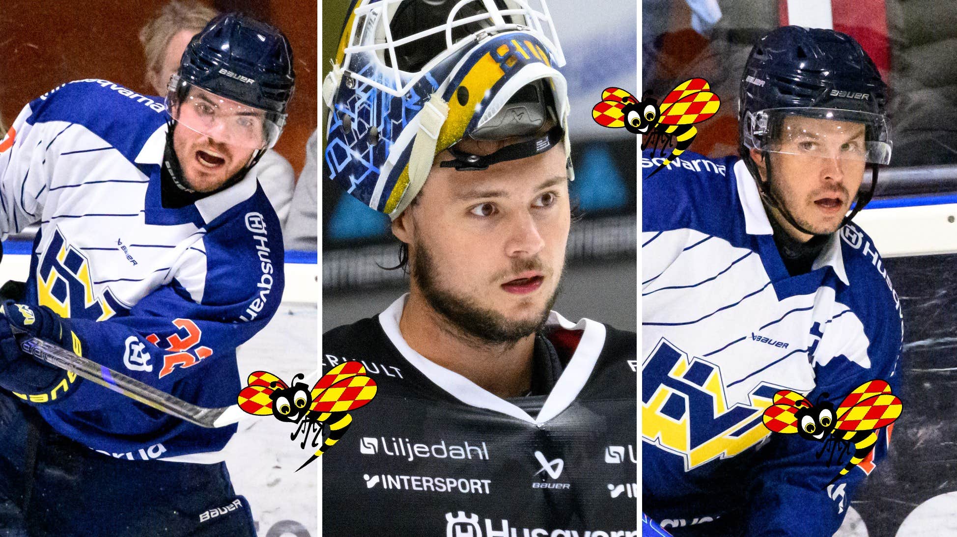 HV71 24/25 – getingbetyg på alla spelare