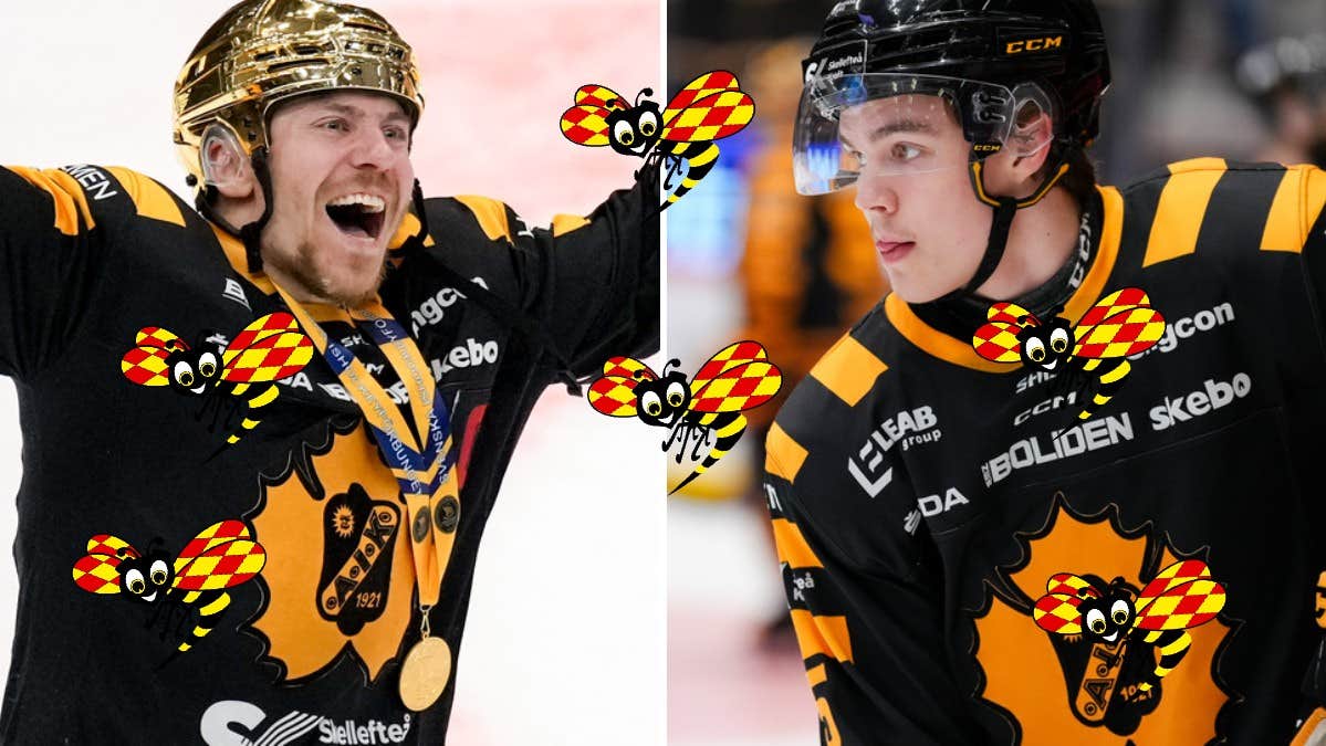 Skellefteå 24/25 – getingbetyg på alla spelare | SHL