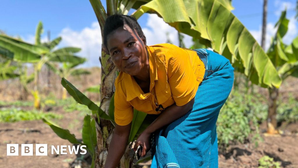 Malawis växande industri för att slå klimatförändringarna