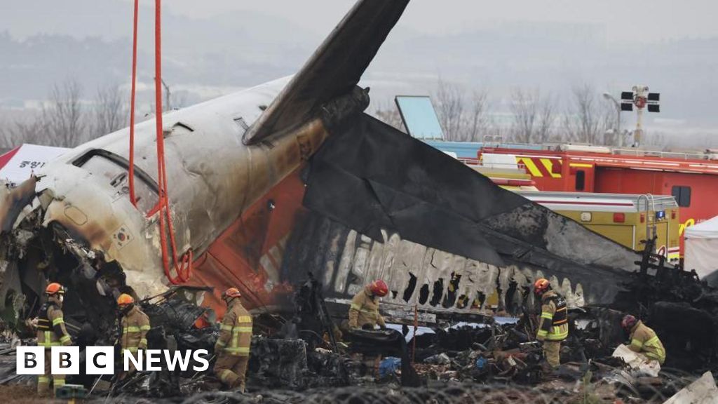 Sydkorea beställer flygsäkerhetsundersökning efter dödlig flygkrasch