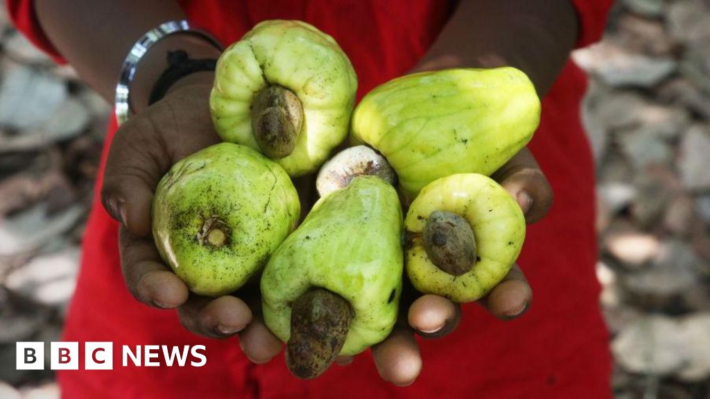 Ghana vill ha mer för sina cashewnötter, men det är en tuff mutter att knäcka