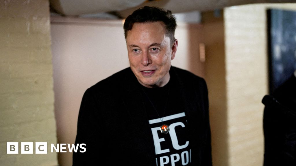 Elon Musk etiketter Vita husets rådgivare ’Moron’ över Tesla -kommentaren