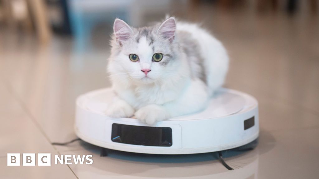 Robot dammsugare ”kan vattenväxter eller leka med katt”