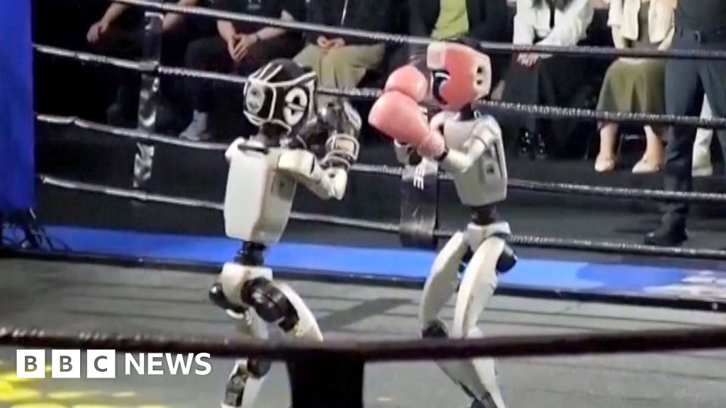 Humanoidrobotar slåss i kinesisk boxningstävling
